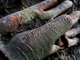 Gloves Become of Age